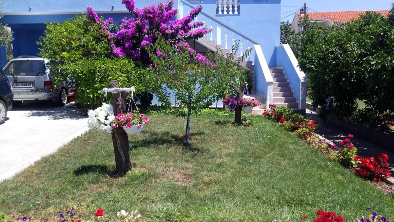 זאדאר Apartment Blue מראה חיצוני תמונה